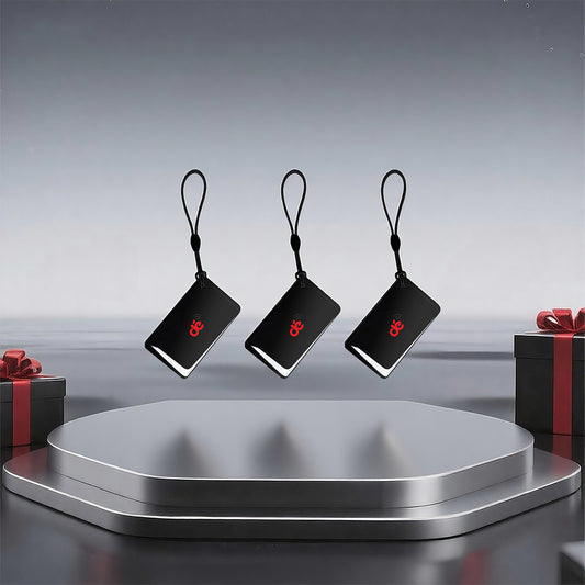 dé RFID-Karte für Wallbox DE_dé