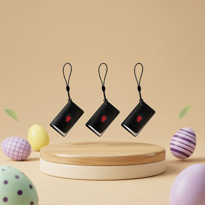 dé RFID-Karte für Wallbox DE_dé