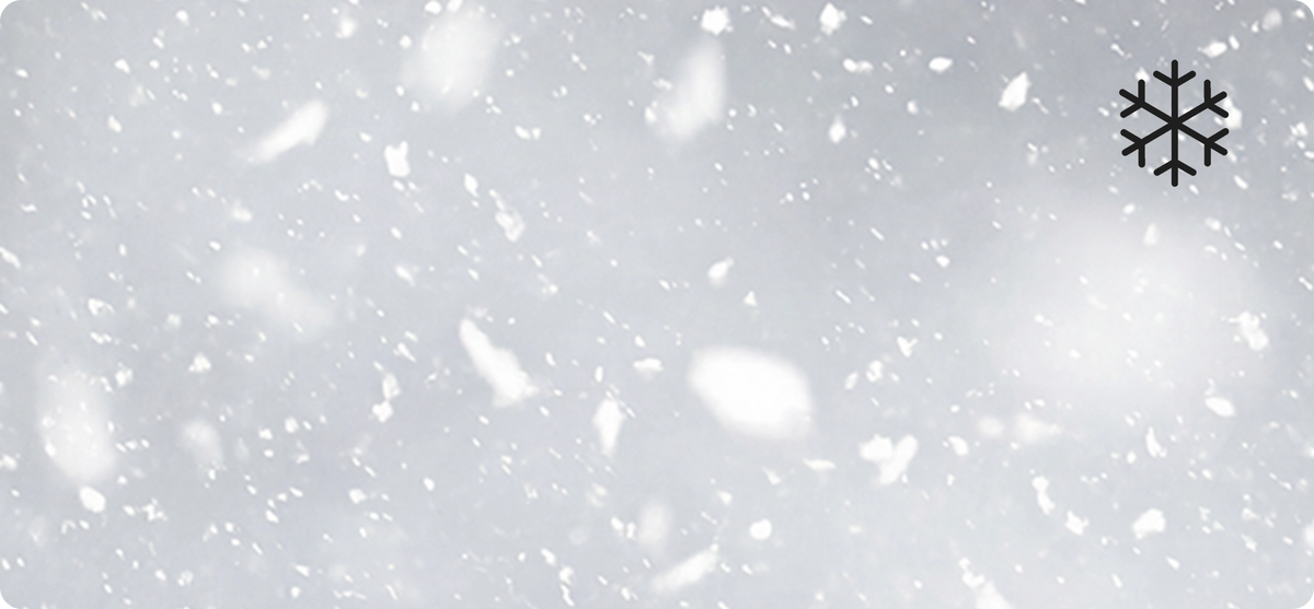 Schutz vor Schnee